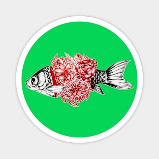 Illustration Fish Art Magnet